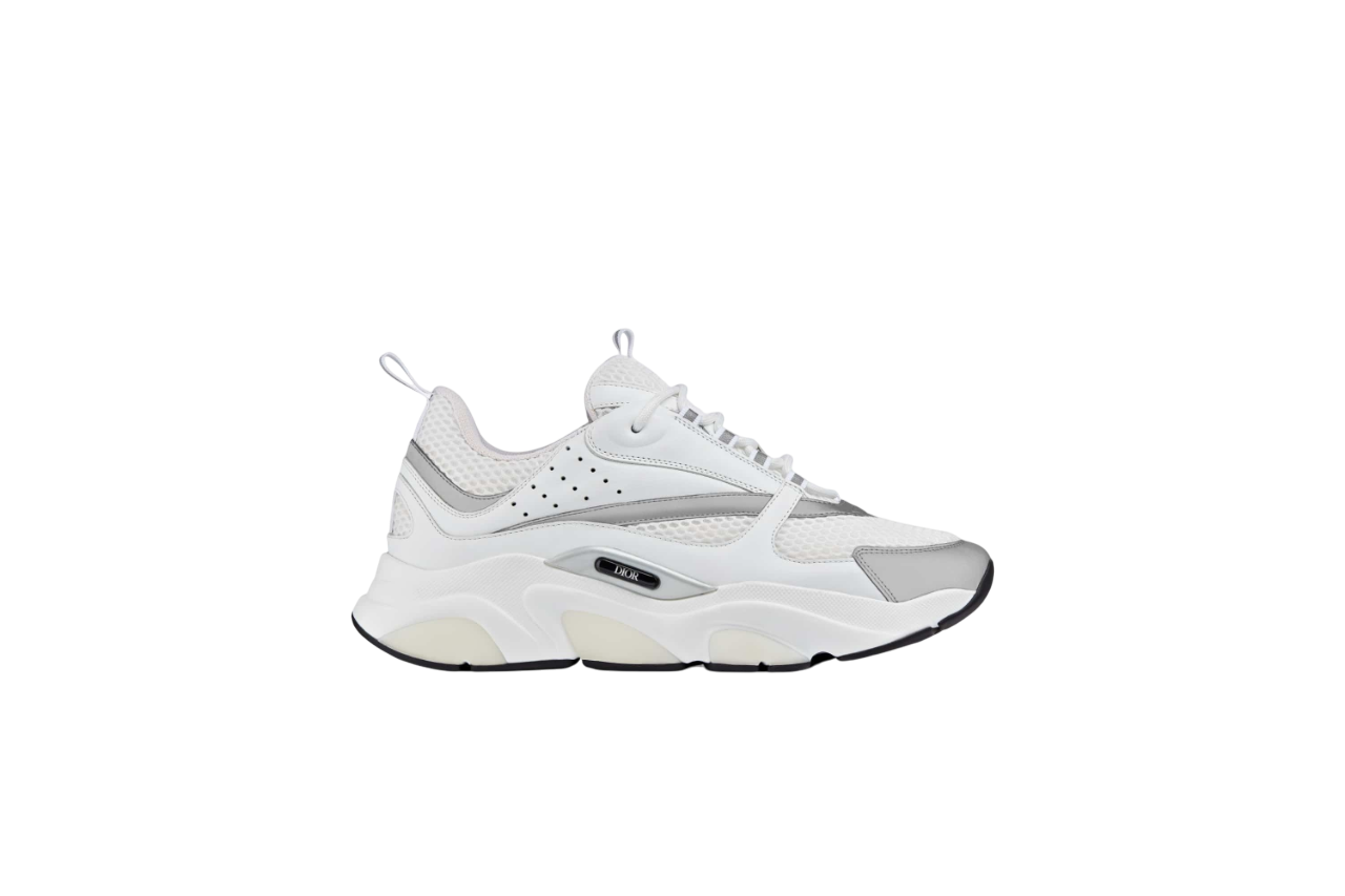 Dior  B22 "White Reflective"